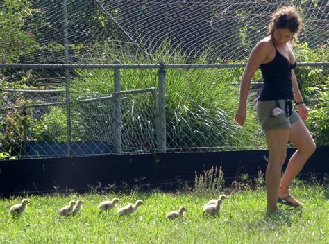 She holds a bachelor of arts in biology from brown university, a master of science in space studies from the. New NASA Astronaut, Jessica Meir followed by 7 baby geese ...