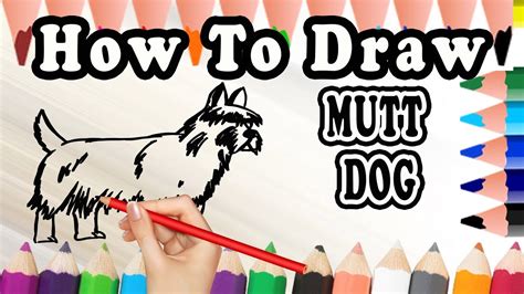 Now, since you know how to identify mutt dog breed, go check out what nutrition, environment and other basic things that it needs. How To Draw A Mutt DOG - YouTube