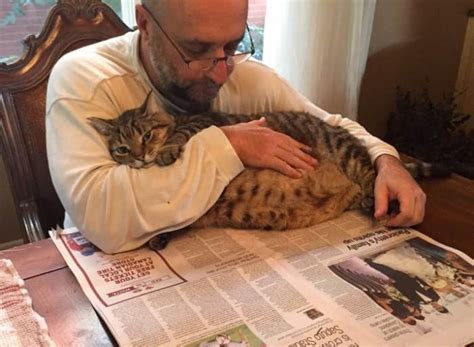 Others see their owners as a simple food source. These 18 Cats Are Completely Head Over Heels In Love With ...