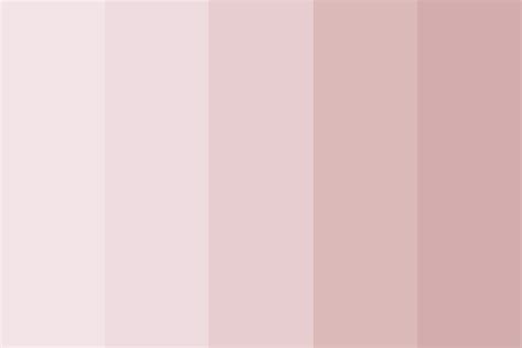 On the outside of the palette there are inscriptions and manufacturer's logo. nude blush Color Palette