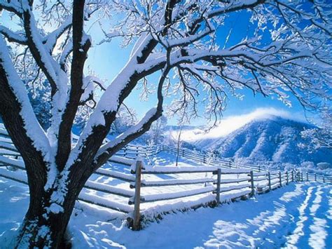 Hoje, é um dos principais destinos turísticos nacionais, principalmente de casais e famílias, que vão brincar na neve, aproveitar. Melhores Paisagens do Rio Grande do Sul: Gramado, Canela ...