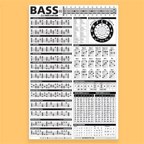 The bass guitar belongs to the stringed musical instruments. The Essential Bass Theory Reference Poster | Bass guitar chords, Bass guitar scales, Bass guitar