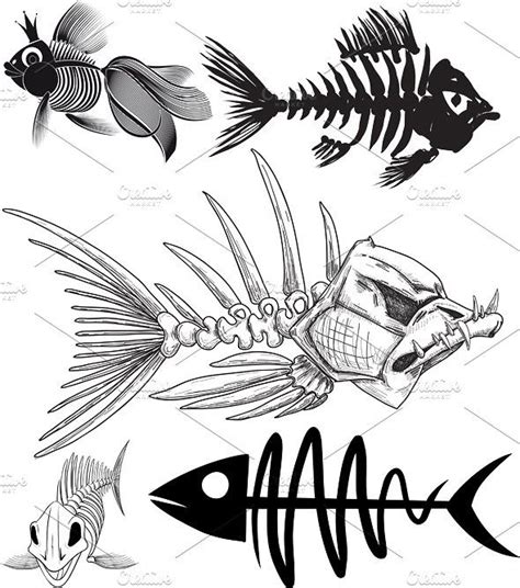 Watercolor skeleton fishing tattoos skeleton bass transparent. Skeleton of five different fish | Fish drawings, Skeleton ...