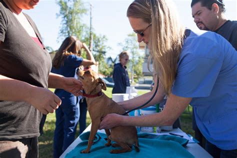 Pet hospital of penasquitos in san diego. Active In Our Community - Goleta Airport Pet Hospital ...