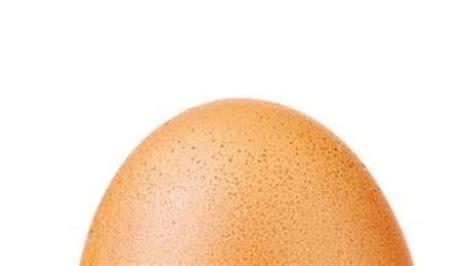 Unduh stok foto telur di stok agen fotografi terbaik dengan jutaan stok foto, gambar dan lukisan premium berkualitas tinggi bebas royalti dengan harga yang wajar. Foto Telur Ini Jadi Postingan Instagram Terpopuler di ...