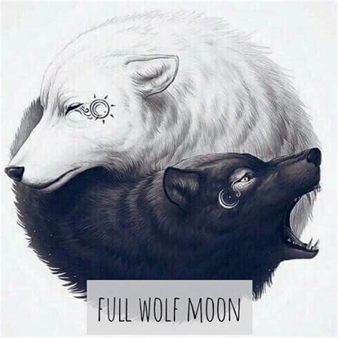 Halo semuanya.hari ini kak yoko akan menggambar serigala ( wolf ) mari kita menggambar bersama. Full Wolf Moon | Emily Hockstra