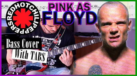 , last edit on feb 20, 2017. RHCP - Pink As Floyd - BASS COVER (with TABS) - YouTube