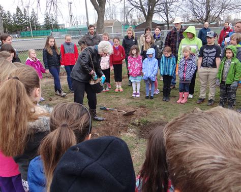 Central programs and services (richter site) and george elliot secondary. Central Public School - ACER-ACRE