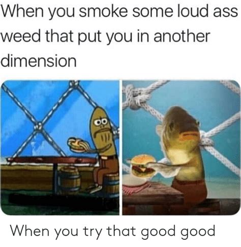 We did not find results for: When You Smoke Some Loud Ass Weed That Put You in Another Dimension 0 When You Try That Good ...