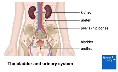 It may not be possible to control some symptoms with medication the way. Transurethral resection of bladder tumour (TURBT) | Bupa UK