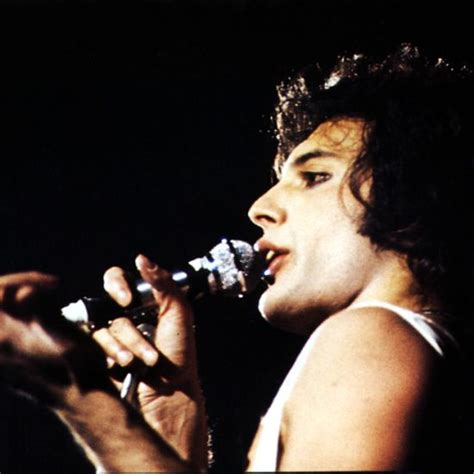 Skillful, charismatic, and flamboyant vocalist who achieved global fame as the frontman with british rockers queen. Freddie Mercury - Zdjęcia: 1970-79 | Freddie mercury young ...