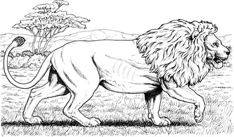 The lion is an animal very impressive for kids! Lion Coloring Pages, Clipart, And Other Free Printable ...