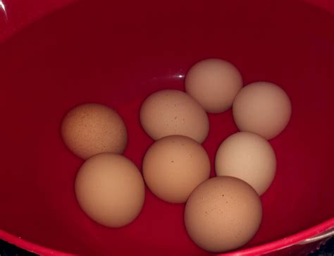 Old eggs float in fresh cold water because of a large air cell that forms as the egg cools after being laid. Chicken Lytle's Blog: Float Test to Check Egg Freshness