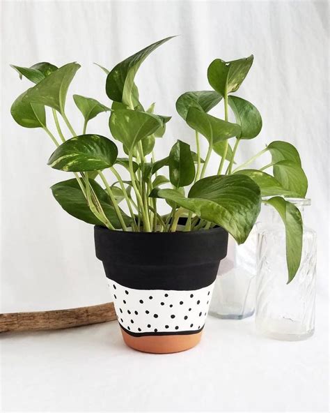 Find deals on products in gardening tools on amazon. Black and white polka dot hand painted terra cotta pot ...