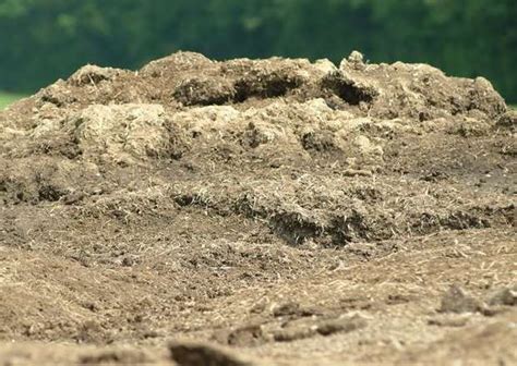 Over time fertilizers also make the soil acidic in nature causing soil degradation. Romney Marsh: 'Acidic burning smell of manure in ...