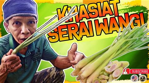 Turns vegetables and fruits that are all around us contains ingredients that are beneficial to your health. SANGAT BERMANFAAT| KHASIAT SERAI WANGI UNTUK KESIHATAN ...