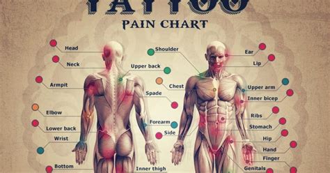 There is a relation of the amount of agony you will suffer and the location of the tattoo. The Tattoo World : Tattoo Pain Chart