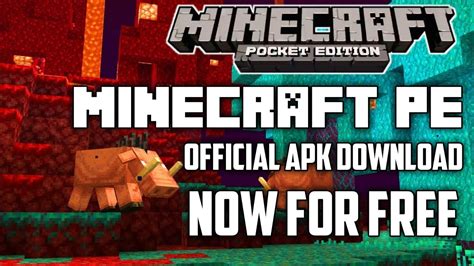 However, there is an achievement system, known as advancements in the java edition of the game, and trophies on the playstation ports. MINECRAFT BEDROCK 1.16(NETHER UPDATE) OFFICIAL APK ...