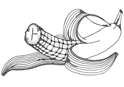 Select one of 1000 printable coloring pages of the category adult. Zentangle fruit. Adult coloring book. on Behance