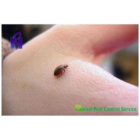 List of delhi metro stations. Bed Bugs Pest Control, Bed Bugs Control in India