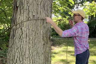 They help us to know which pages are the most and least popular and see how visitors move around the site. How to Hang a Hammock Between Trees - Safely Install a Hammock