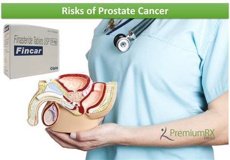 You have pain that doesn't go away in your lower back, pelvis, upper thighbones, or other bones. Cause of Prostate Cancer