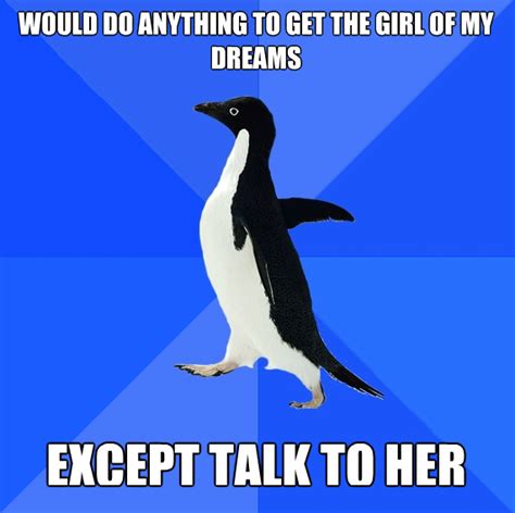 Penguin quotes big brother quotes little boy quotes best friend soul mate dallas clayton penguin pictures thinking of you quotes daughter poems frases. Socially awkward penguin on love | Funny Pictures, Quotes ...