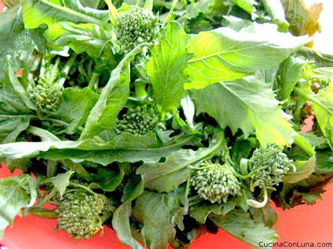 Basta una padella per cuocere uno dei contorni più saporiti che ci sono, le cime di rapa in padella con olive un contorno saporitissimo. Cime di rapa in padella | LunaMagazine