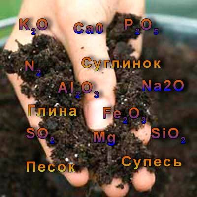 Механический и химический состав почвы - AgroFlora.ru