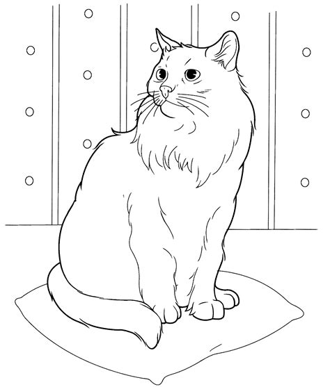 For example, there isn't any need to throw away boring, flat, crayons. Cat Coloring Pages for Adults - Best Coloring Pages For Kids
