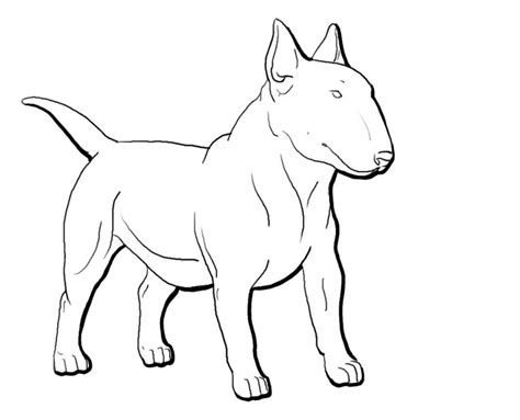 Select from 35429 printable crafts of cartoons, nature, animals, bible and many more. Pin von Bernice auf Dave nothing but Bullies | Bullterrier ...