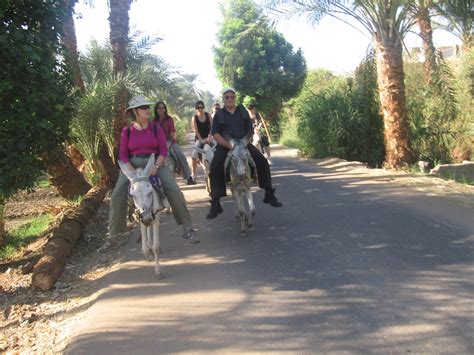 White bbw riding bbc (190,351 results). Riding donkeys to Valley of the kings | Nathalie Moreitz ...