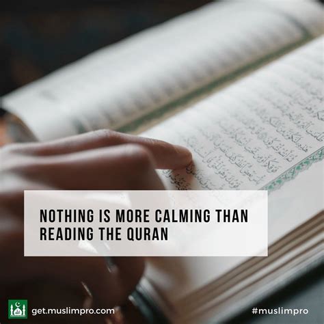 Maybe you would like to learn more about one of these? Pin by Zubia Maheen on qoutes | Quran quotes, Quran verses ...