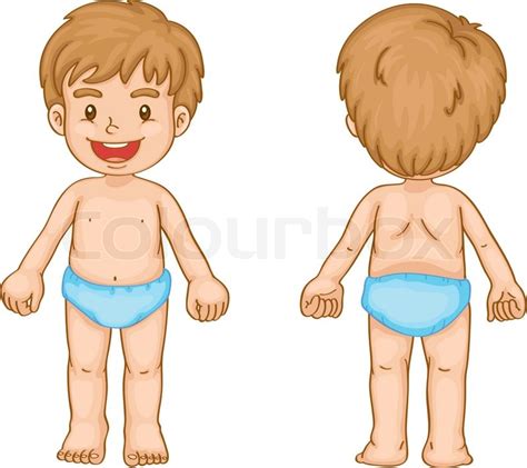 Boy back side body image. Boy body parts | Stock vector | Colourbox