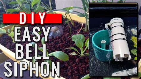 DIY STORY: aquaponic easy auto bell siphon - YouTube