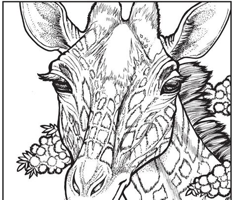 Download Relaxing Coloring Pages Free download best Relaxing Coloring Pages on ClipArtMag.com
