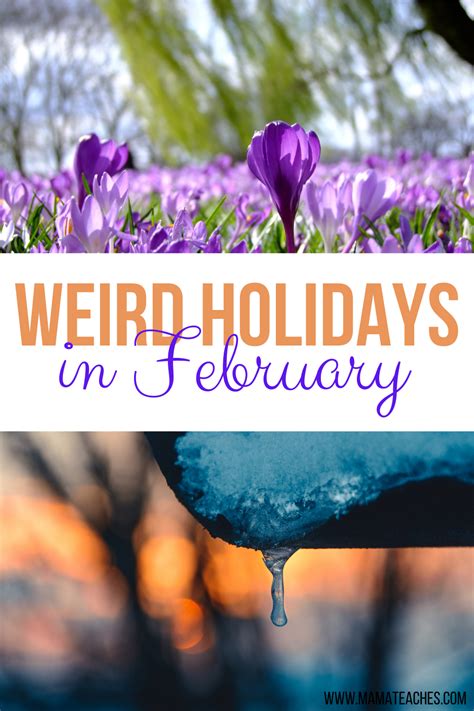 Click on the february holidays listed in blue for more details. Unusual and Weird Holidays in February - Mama Teaches