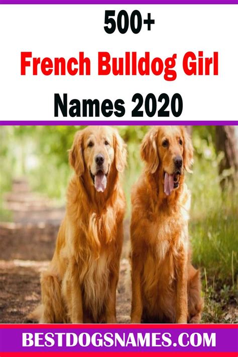 A big dog like a great dane can carry alaska, while a french bulldog would be cute as arabella and a german shepherd as axel. French BullDog Girl Names|Cute Dog Names | Best dog names ...
