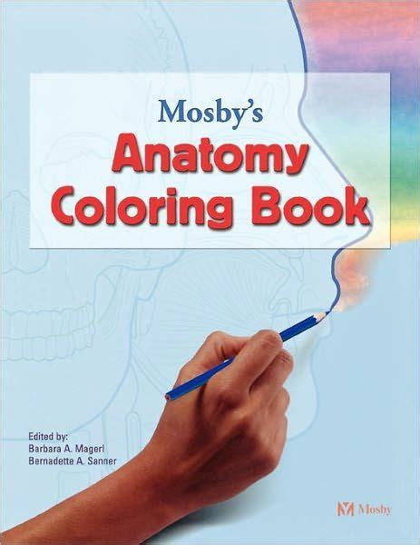 But like everyone else said, preparing for some classes. 21 Anatomy Coloring Book Barnes and Noble in 2020 ...