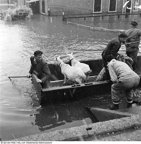 Na de bevrijding werd de restauratie ter hand genomen. Evacuatie per boot van mens en dier uit 's Gravendeel na ...