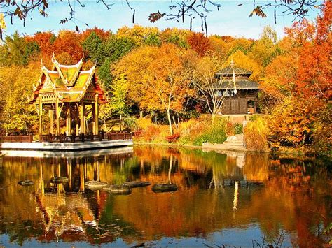 Wer eine japanische teezeremonie erleben. Golden Oktober | Dream travel destinations, Travel dreams ...