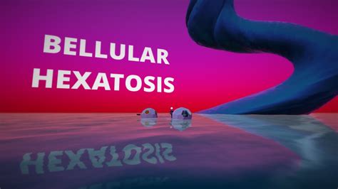 Bellular Hexatosis: Sigil in the water - YouTube