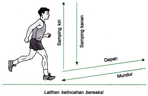 Manfaat latihan kelenturan tubuh selanjutnya adalah untuk menghindari resiko cidera pada otot dan sendi. Latihan Lari Bolak Balik Sering Disebut Dengan - Sebutkan Itu