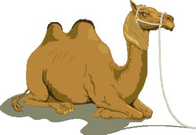The jackal and his wife came out of the cave after the storm had ceased. Pin on CAMELS - Nativity