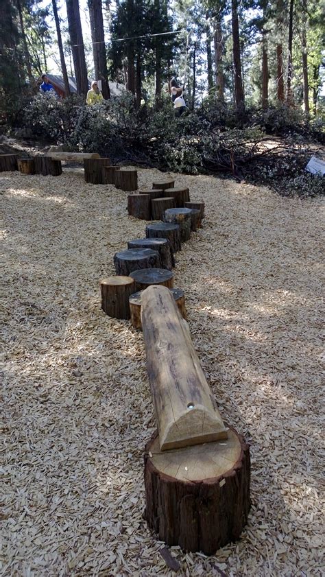 However, they all have key characteristics that make them naturalized. photo credit: Pin by elizabeth a. on HMS Natural Playground Ideas ...