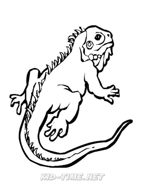 You may even see one on a leash! Lizard - Bearded Dragon Animals Coloring Book Pages Sheets ...