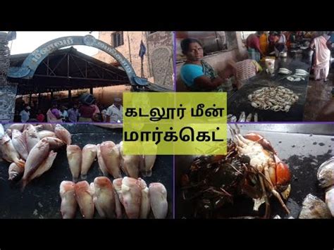 We did not find results for: live crabs and fishes best prices || Cuddalore fish market ...