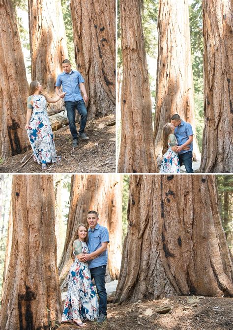 Ash mountain entrance to sequoia national park highway 198 enters sequoia national park at the town of three rivers. SARAH + DAVID ENGAGEMENT SESSION IN SEQUOIA NATIONAL PARK ...