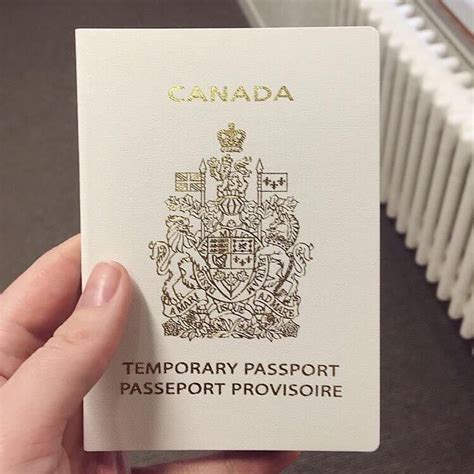 See more of ethiopian online passport service and information on facebook. interntionaldocumentation.com | Passport online, Passport ...