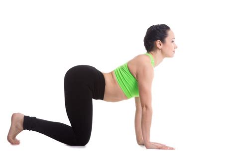 It stretches the back torso and neck, and softly stimulates and strengthens the abdominal organs. 7 yoga asanas for backache